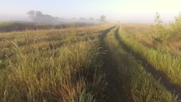 Vuelo sobre carretera entre el campo en sol de la tarde — Vídeos de Stock