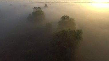 Sisli Nehri üzerinde uçan.