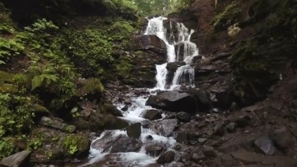 A água cai sobre rochas através da densa vegetação de samambaia de uma floresta dos Cárpatos — Vídeo de Stock