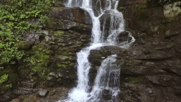 Νερό πέφτει πάνω από βράχους μέσα από την πυκνή βλάστηση φτέρης ενός Καρπάθιου δάσους — Αρχείο Βίντεο