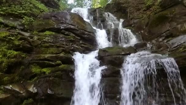 L'eau tombe sur les roches à travers le sous-bois dense de fougères d'une forêt des Carpates