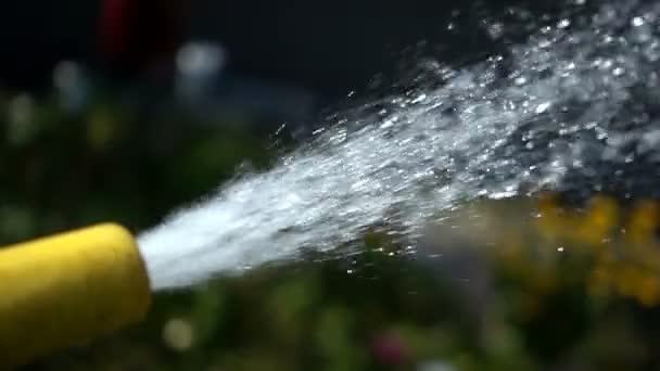 Pouring water . Slow motion — Stock Video