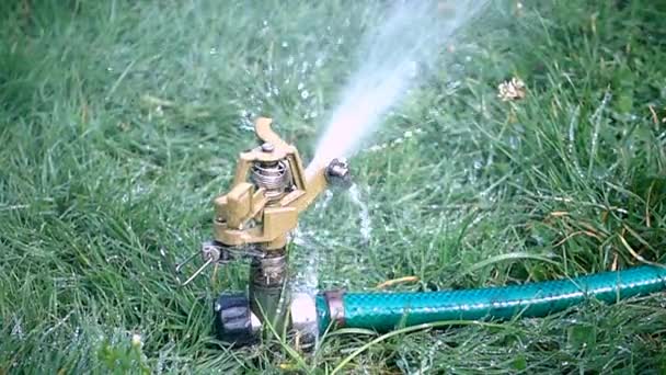 Water sprinkler green grass in slow motion — Stock Video