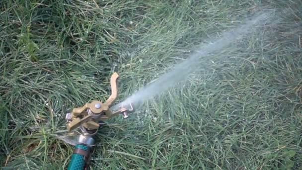 Water sprinkler green grass in slow motion — Stock Video