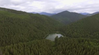 Lake Synevir Ukrayna Karpat Dağları'nda havadan görünümü