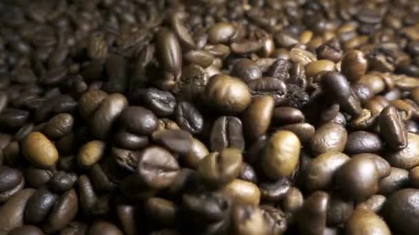 Geröstete Kaffeebohnen mit herabfallendem Kaffeestaub. Zeitlupe — Stockvideo