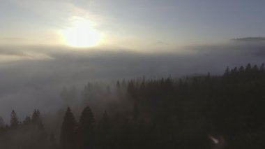 uçan sis aracılığıyla