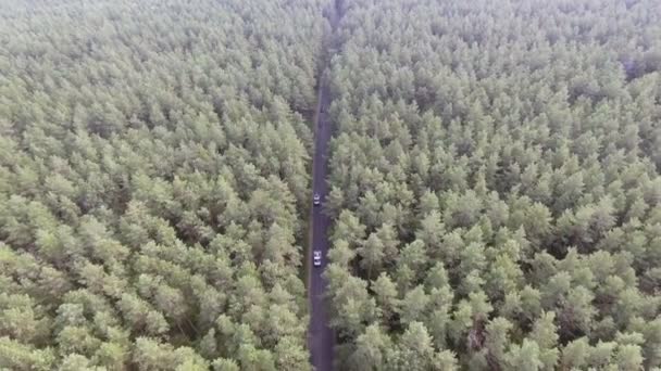 Aerial view flying over old patched two lane forest road with car moving green trees of dense woods growing both sides. — Stock Video