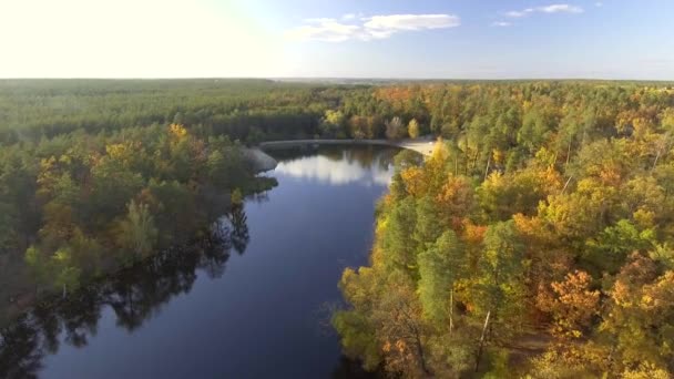 Vista aérea caída colores árbol tapas volando sobre otoño paisaje — Vídeo de stock