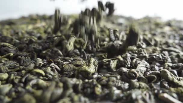 Groene thee vallen op witte achtergrond. Slow Motion — Stockvideo