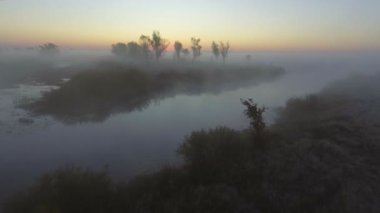 Havadan görünümü: Sabah sis. Uçan Nehri. Orman Vadisi. Güneş doğuyor. Manzara panorama.