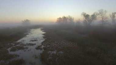 Havadan görünümü: Sabah sis. Uçan Nehri. Orman Vadisi. Güneş doğuyor. Manzara panorama.