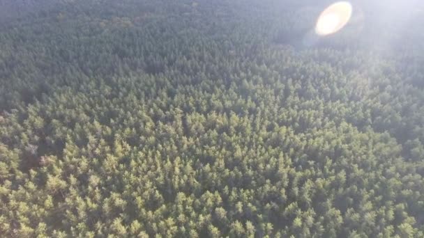Luchtfoto vallen kleuren boomtoppen vliegen over herfst landschap — Stockvideo