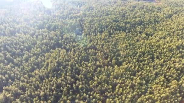 Vista aérea queda cores árvore tops voando sobre paisagem outono — Vídeo de Stock