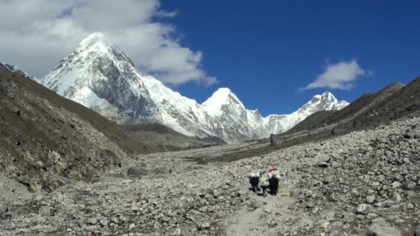 Горы Гималаев, Непал — стоковое видео