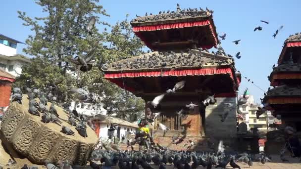 Kathmandu, Nepal - 21 novembre 2017: Veduta della piazza Durbar a Bhaktapur Nepal nella valle di Kathmandu, Asia — Video Stock