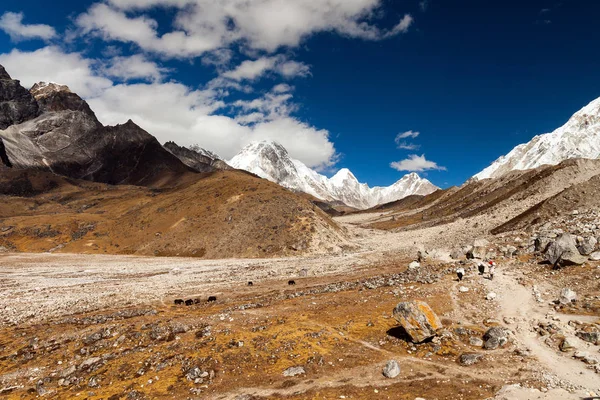Nuptse, Everest Region, Himalaya, Nepal — Stockfoto