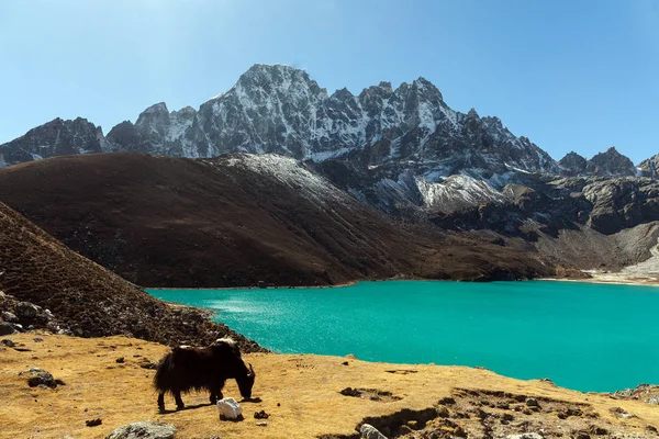 Himalája. GOKYO Ri, hegyekben Nepál, hóval borított, magas csúcsok és a tó, nem messze az Everest. — Stock Fotó