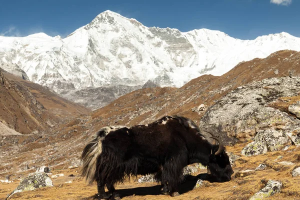 Himalaya. Gokyo Ri, Montagnes du Népal, hauts sommets enneigés et lac non loin de l'Everest . — Photo