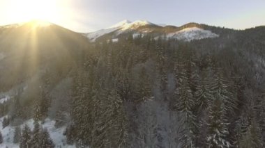 Güzel kış hava uçuş üzerinde dağ zinciri manzara Ukrayna macera trekking Kayak Tatil seyahat Hiking