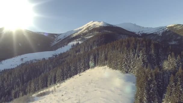 Vackra vinter antenn Flight Over Mountain kedja landskap Ukraina äventyr vandring Trekking Ski Vacation Travel — Stockvideo