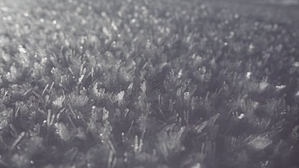 Formaciones heladas de copos de nieve. Cristales de agua congelados que cubren la manta de nieve en frío — Vídeos de Stock