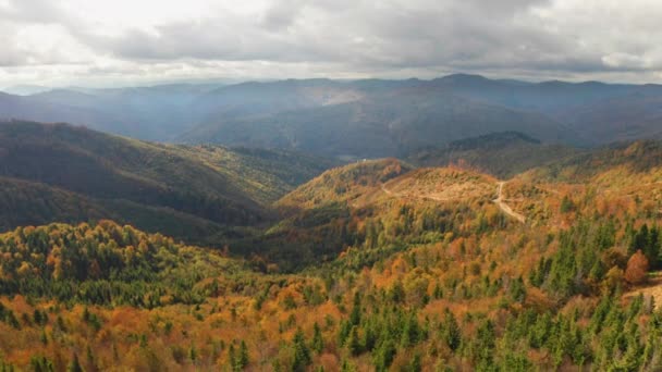 Hermoso bosque de otoño brillando al atardecer. Volar por encima de colorida flora de montaña — Vídeo de stock