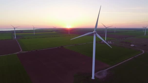 Vue aérienne des éoliennes Production d'énergie — Video