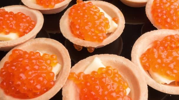 Gros plan Caviar de saumon panoramique. Charcuterie. Fruits de mer — Video