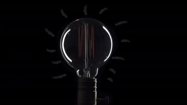 Una vera lampadina Edison tremolante. Lampadina vintage a filamento Edison. Chiudete. 4K UHD video . — Video Stock
