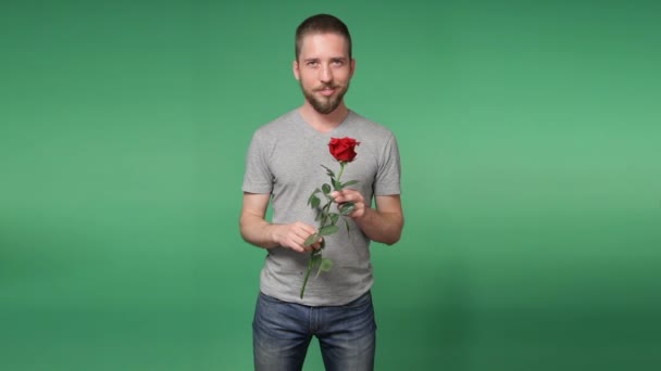 Молодой романтик с красной розой — стоковое видео