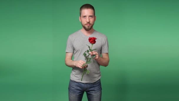 Romantisk yngling med en röd ros — Stockvideo
