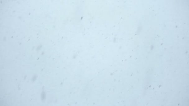 Śnieg, łuszczenie i spada w dół — Wideo stockowe