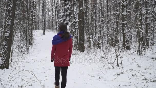 Mujer caminando en un bosque de invierno — Vídeo de stock