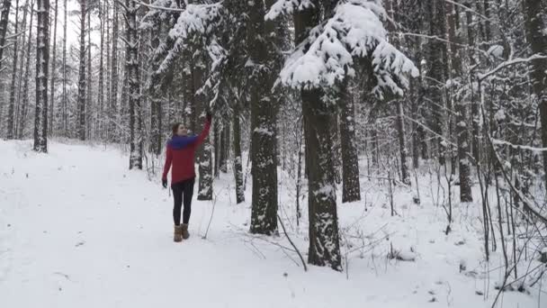 女人摇下来一棵树上的雪 — 图库视频影像