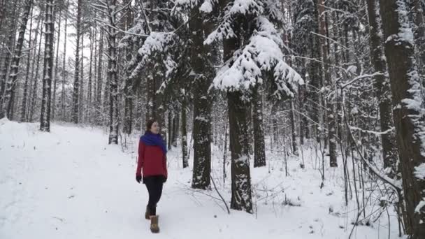 Vrouw schudden beneden de sneeuw met een boom — Stockvideo