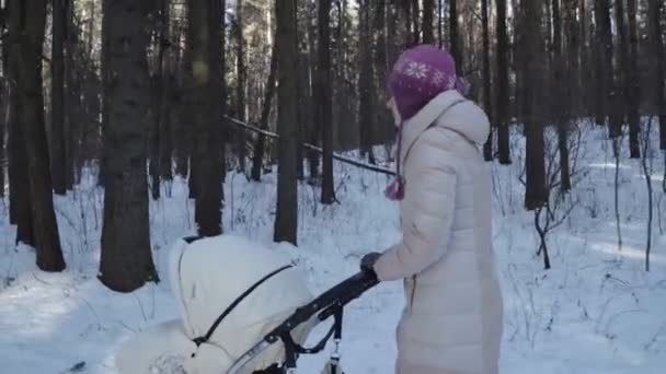 Moeder is wandelen met een rijtuig — Stockvideo