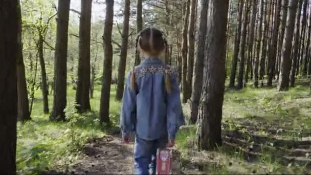 fille marche à travers la forêt avec une boîte de pique-nique 