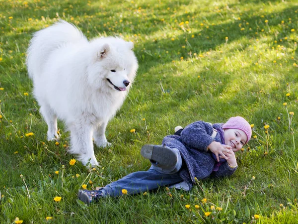 Menina está brincando com o cão — Fotografia de Stock