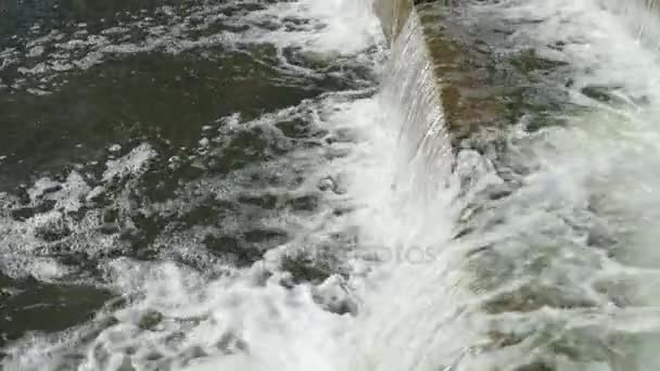 Ström av vatten — Stockvideo