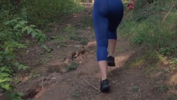 Mulher está correndo na floresta — Vídeo de Stock