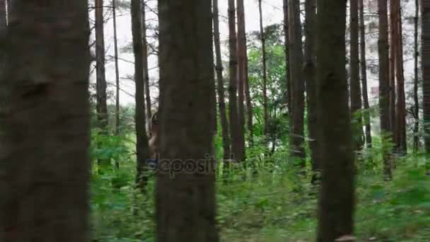 Woman running in the forest — Stock Video