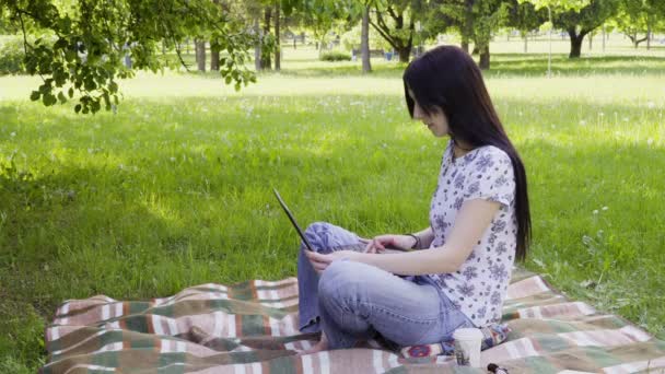 Woman using laptop in park — Stock Video