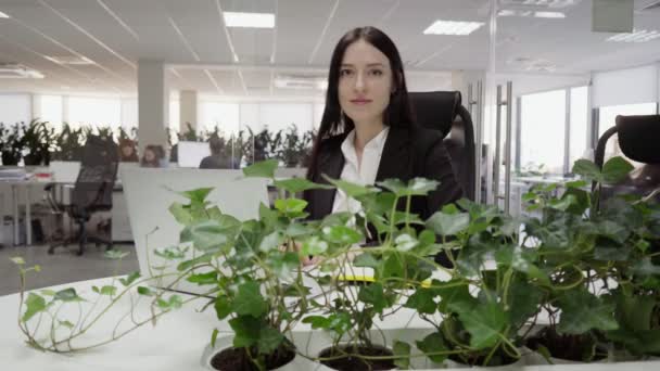 Mujer de negocios sentada en un escritorio — Vídeo de stock