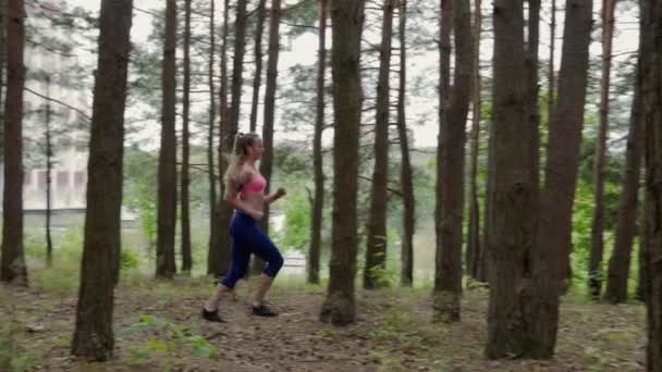 Mujer corriendo en el bosque — Vídeo de stock