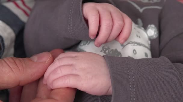 Père touche bébé nouveau-né — Video