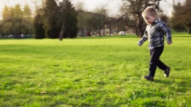 Schattige kleine jongen loopt naar moeder in omhelzing, voorjaar park bij zonsondergang — Stockvideo