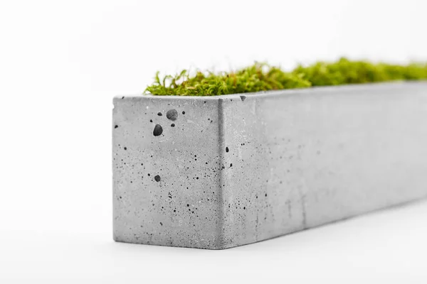 Трендированный горшок из бетона — стоковое фото