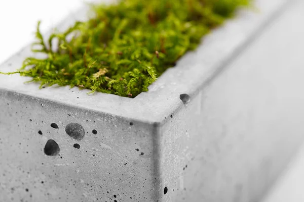 Trendy pot met de hand gemaakt van beton Stockfoto