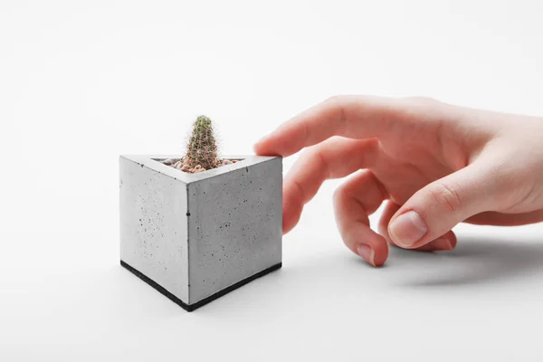 Human hand touches concrete pot — Stock Photo, Image